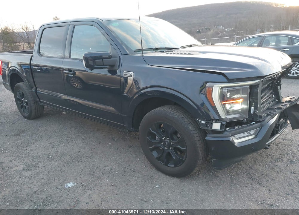 2023 FORD F-150 PLATINUM VIN: 1FTFW1E87PFB14176