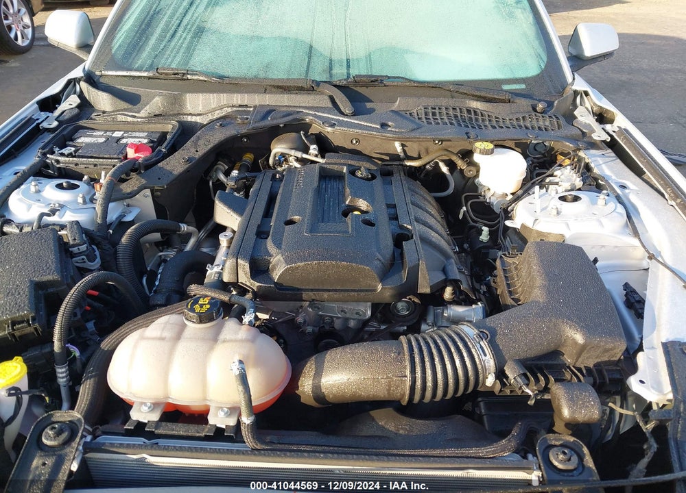 2019 FORD MUSTANG ECOBOOST VIN: 1FA6P8TH4K5196588