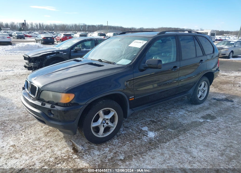 2002 BMW X5 3.0I VIN: 5UXFA53582LP29438