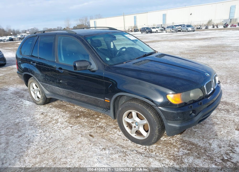 2002 BMW X5 3.0I VIN: 5UXFA53582LP29438