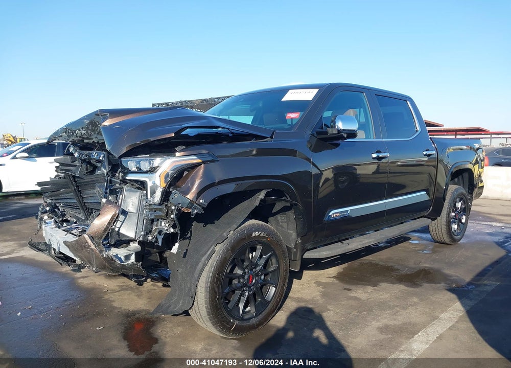 2025 TOYOTA TUNDRA 1794 EDITION VIN: 5TFMA5DB1SX253345