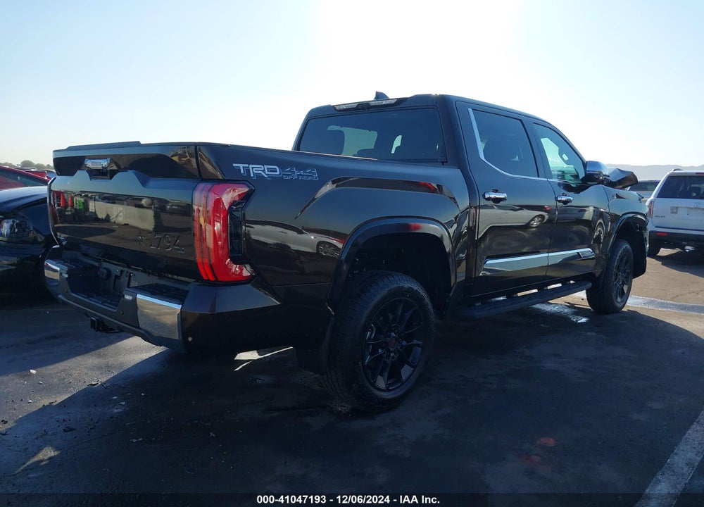 2025 TOYOTA TUNDRA 1794 EDITION VIN: 5TFMA5DB1SX253345