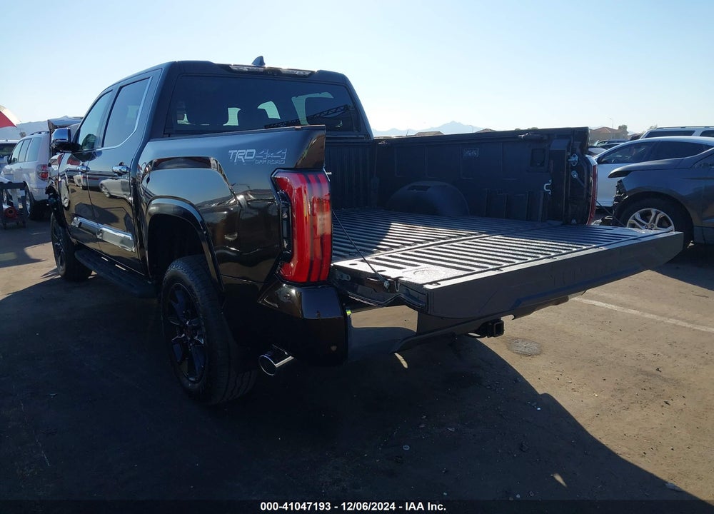 2025 TOYOTA TUNDRA 1794 EDITION VIN: 5TFMA5DB1SX253345