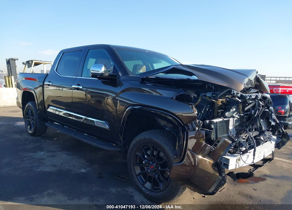 2025 TOYOTA TUNDRA 1794 EDITION VIN: 5TFMA5DB1SX253345