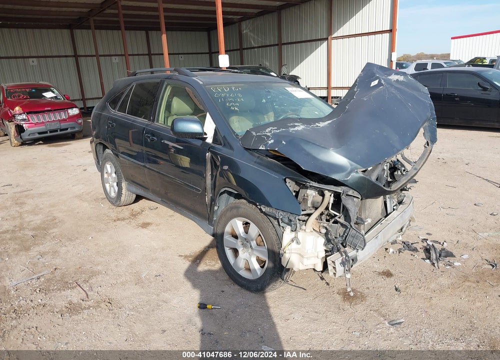 2004 LEXUS RX 330 VIN: JTJGA31U740025995