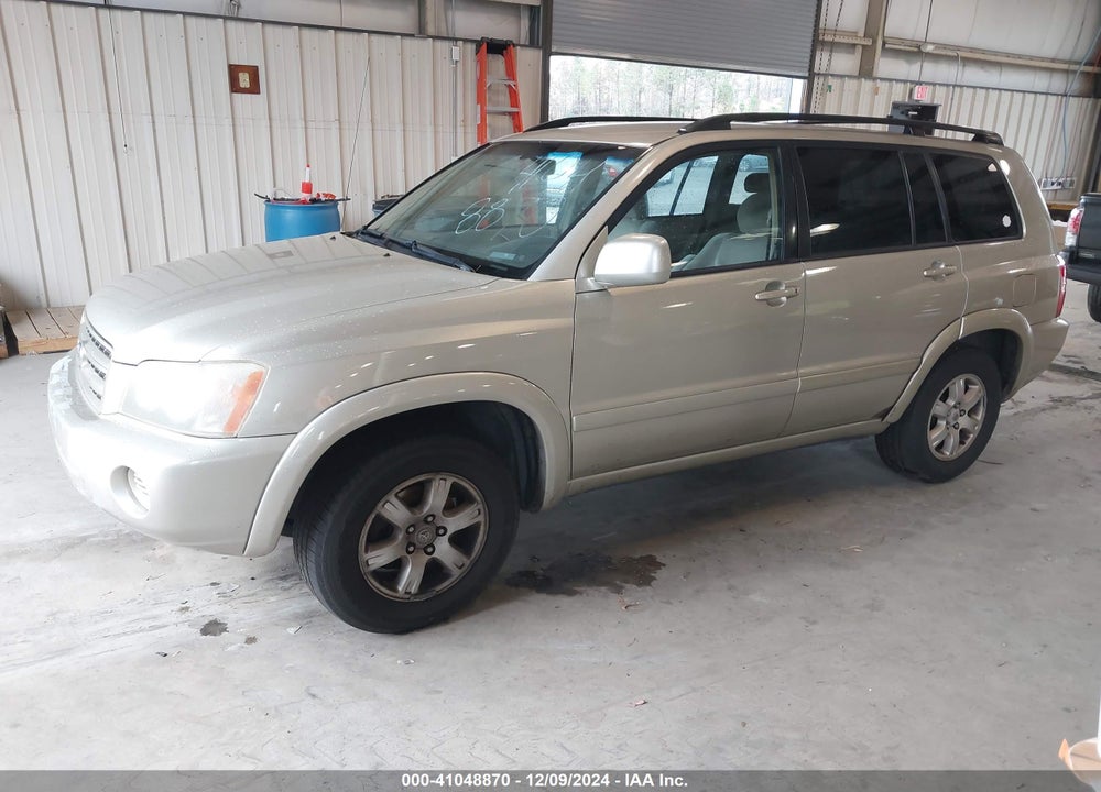 2002 TOYOTA HIGHLANDER VIN: JTEGD21A320029044
