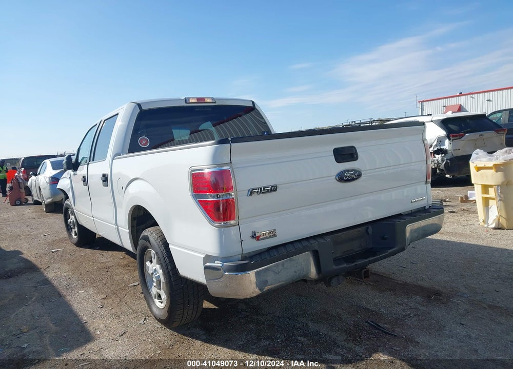 2013 FORD F150 VIN: 1FTFW1CF3DKD28876