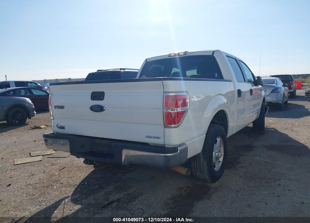 2013 FORD F150 VIN: 1FTFW1CF3DKD28876