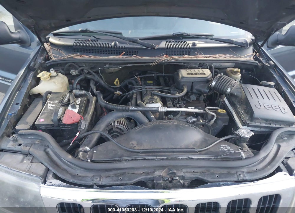 2002 JEEP GRAND CHEROKEE SPORT VIN: 1J8GW38S72C234733