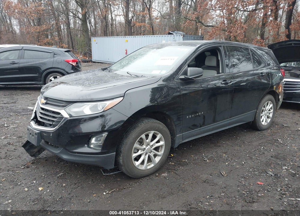 2019 CHEVROLET EQUINOX LS VIN: 2GNAXSEV7K6251387