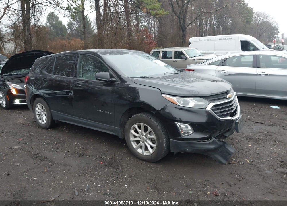 2019 CHEVROLET EQUINOX LS VIN: 2GNAXSEV7K6251387