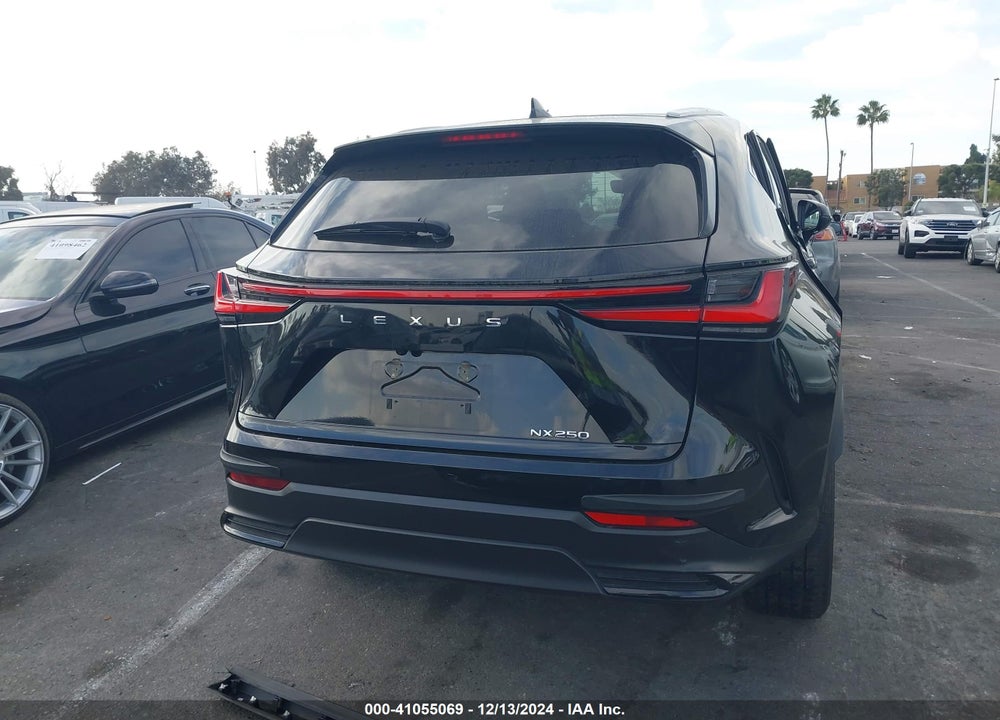 2022 LEXUS NX 250 VIN: 2T2ADCAZ6NC001203