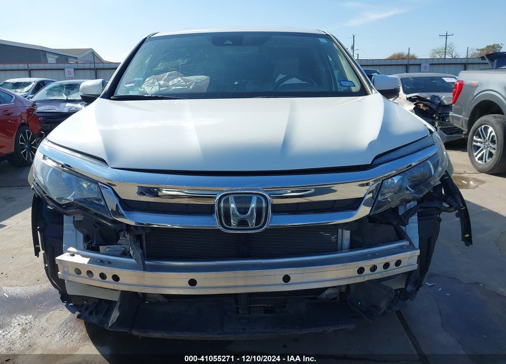 2019 HONDA PILOT EX-L VIN: 5FNYF5H56KB035158