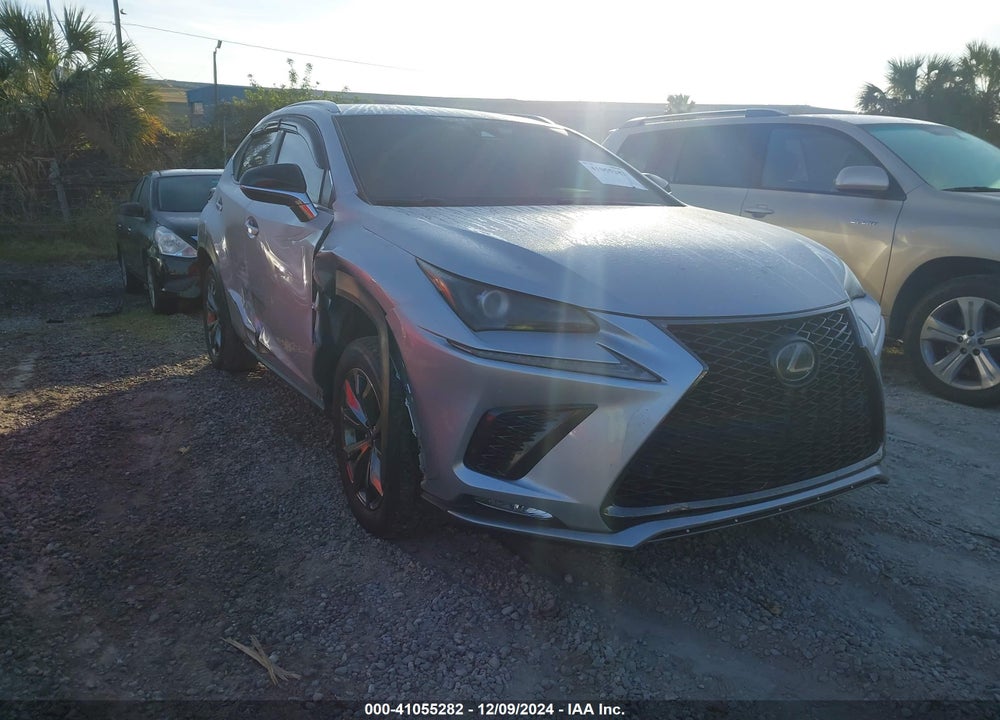 2019 LEXUS NX 300 F-SPORT VIN: JTJYARBZ0K2136620