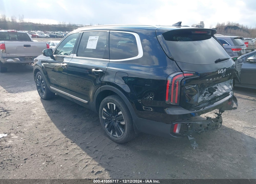 2024 KIA TELLURIDE SX PRESTIGE VIN: 5XYP5DGC9RG508532