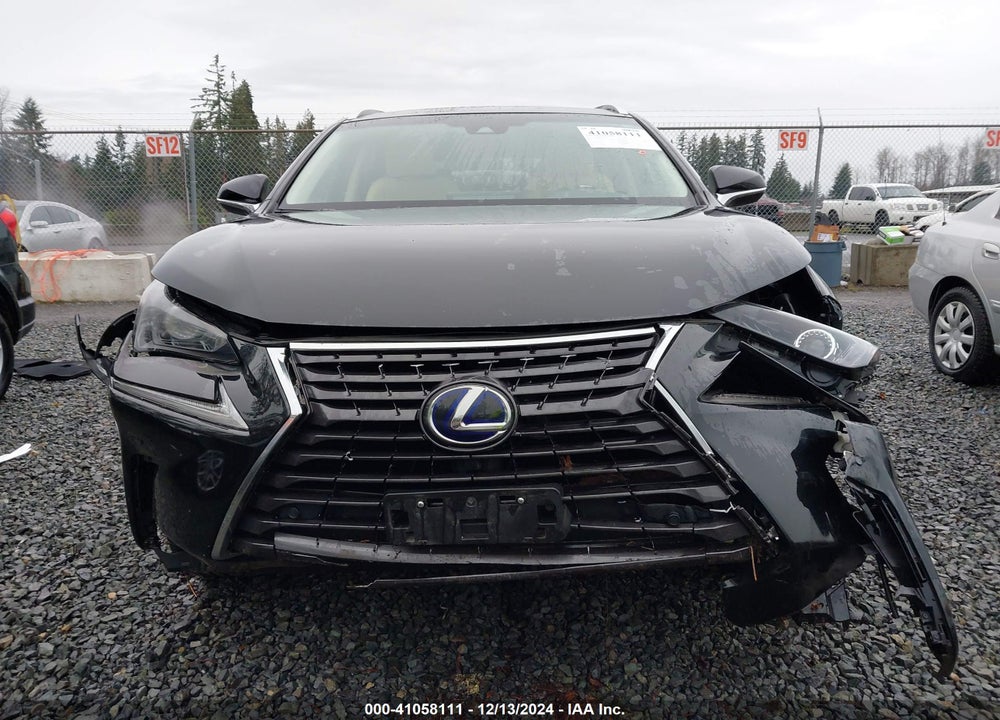 2019 LEXUS NX 300H VIN: JTJBJRBZXK2097864