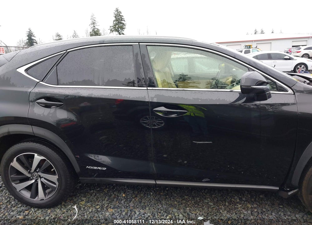 2019 LEXUS NX 300H VIN: JTJBJRBZXK2097864