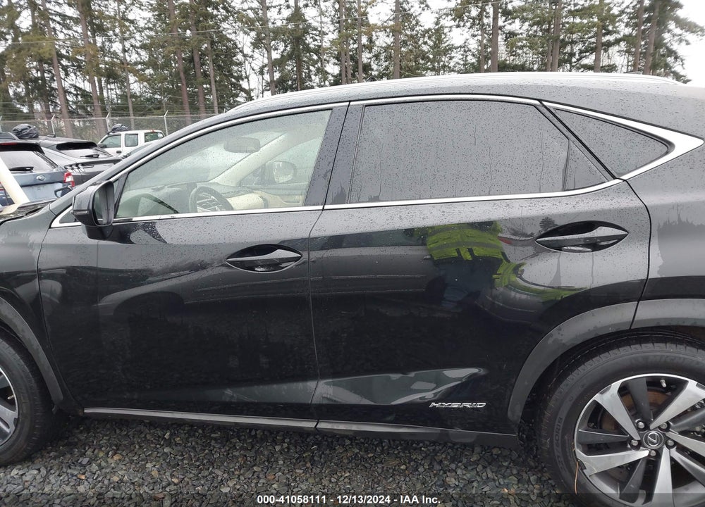 2019 LEXUS NX 300H VIN: JTJBJRBZXK2097864