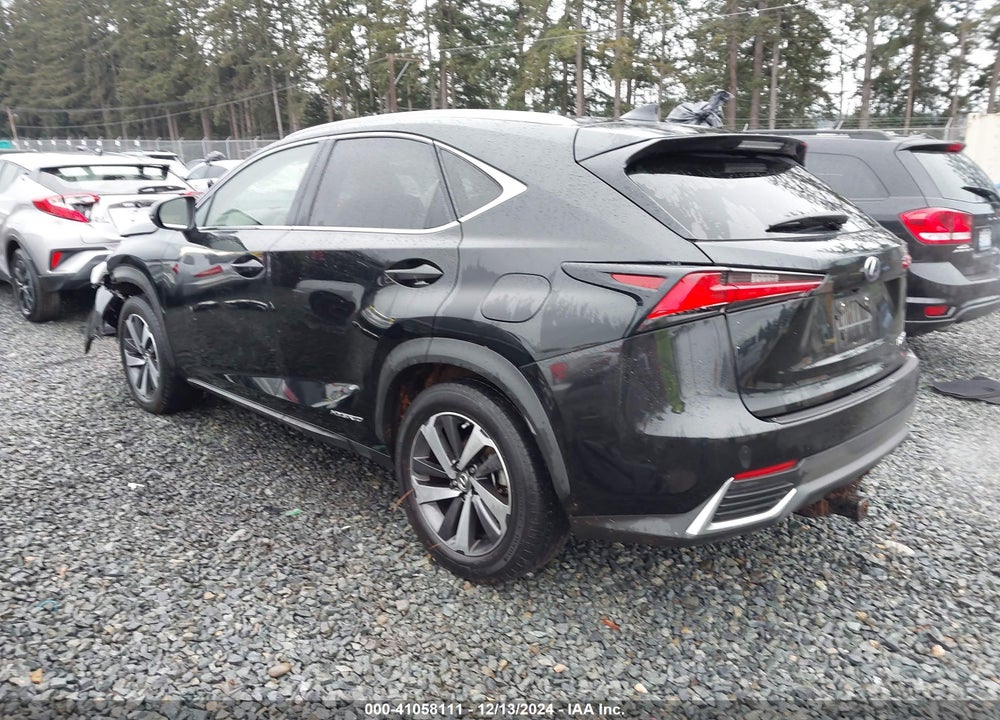 2019 LEXUS NX 300H VIN: JTJBJRBZXK2097864