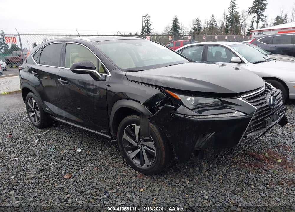 2019 LEXUS NX 300H VIN: JTJBJRBZXK2097864