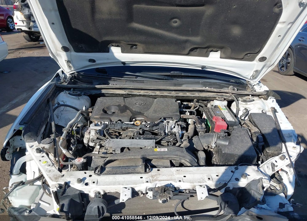2019 TOYOTA CAMRY SE VIN: 4T1B11HK2KU778826