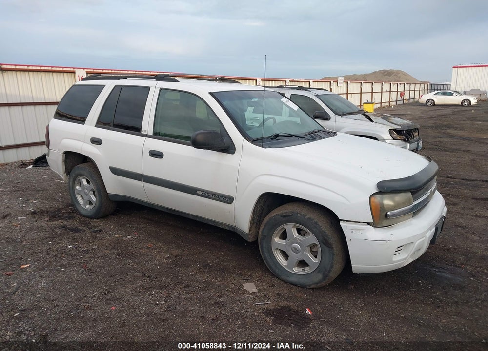 2003 CHEVROLET TRAILBLAZER LS VIN: 1GNDT13S432402065