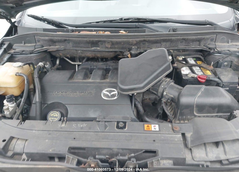 2010 MAZDA CX-9 SPORT VIN: JM3TB2MVXA0227147