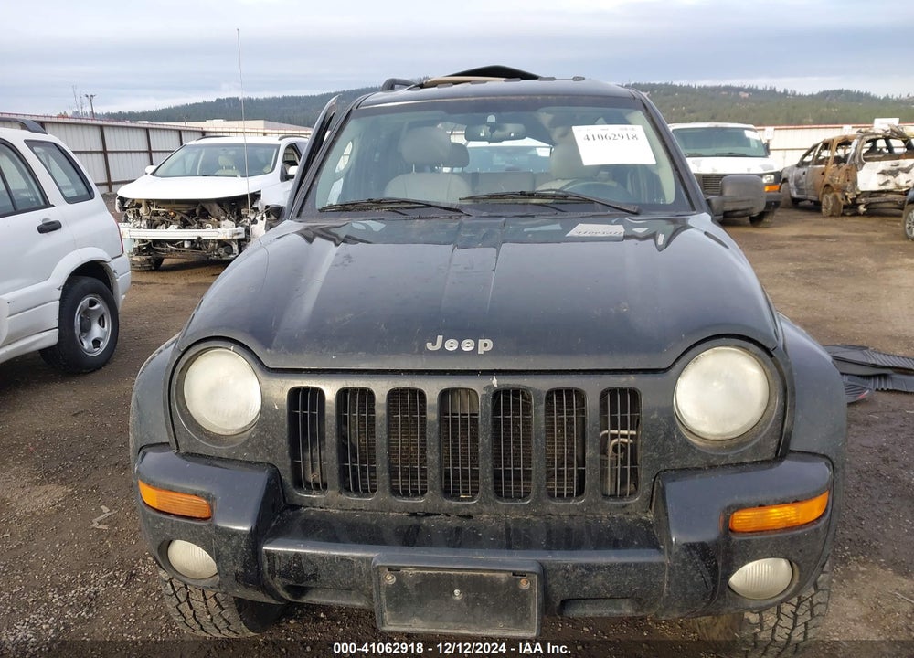 2003 JEEP LIBERTY LIMITED EDITION VIN: 1J4GL58K03W701867