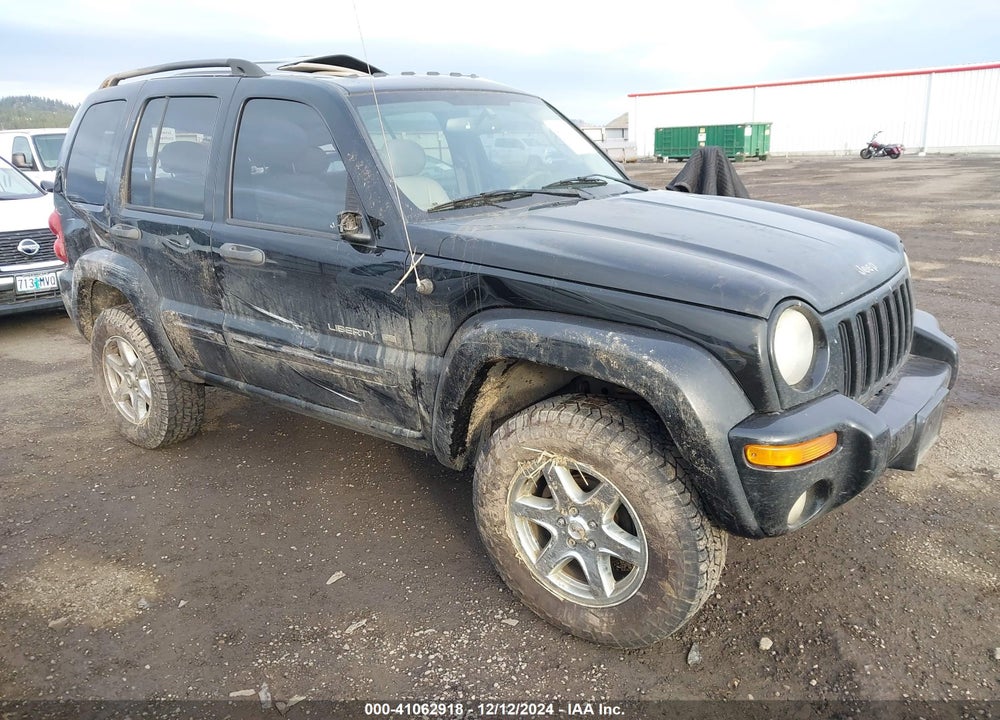 2003 JEEP LIBERTY LIMITED EDITION VIN: 1J4GL58K03W701867