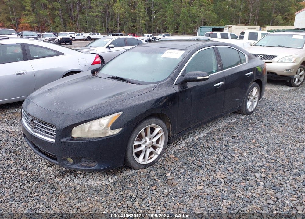 2009 NISSAN MAXIMA 3.5 SV VIN: 1N4AA51E99C849103