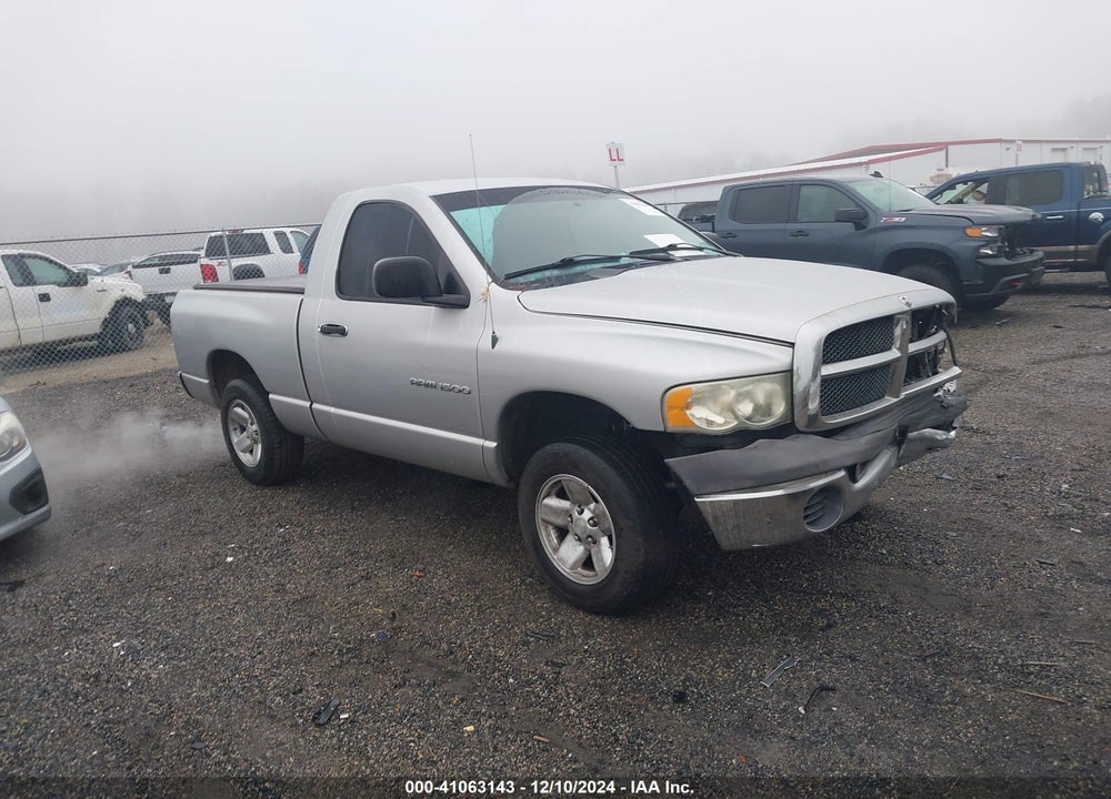 2002 DODGE RAM 1500 ST VIN: 1D7HA16K32J176994