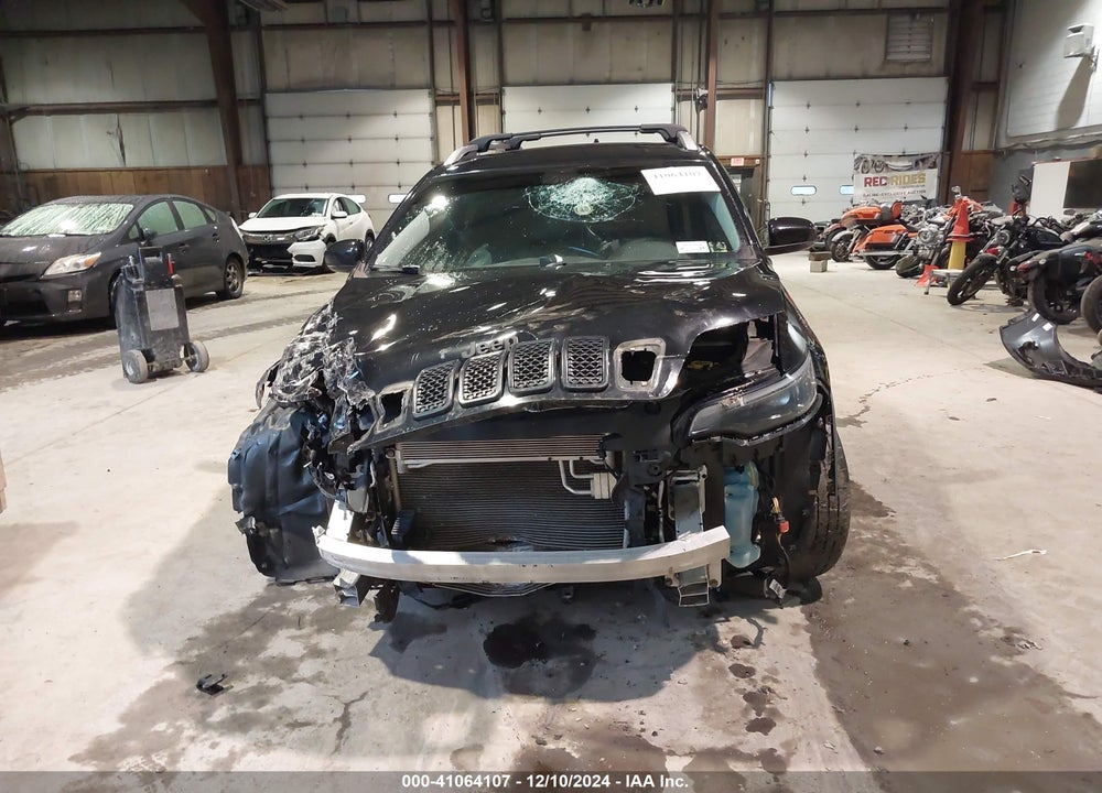 2019 JEEP CHEROKEE LIMITED 4X4 VIN: 1C4PJMDN1KD251730