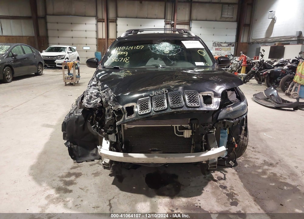 2019 JEEP CHEROKEE LIMITED 4X4 VIN: 1C4PJMDN1KD251730