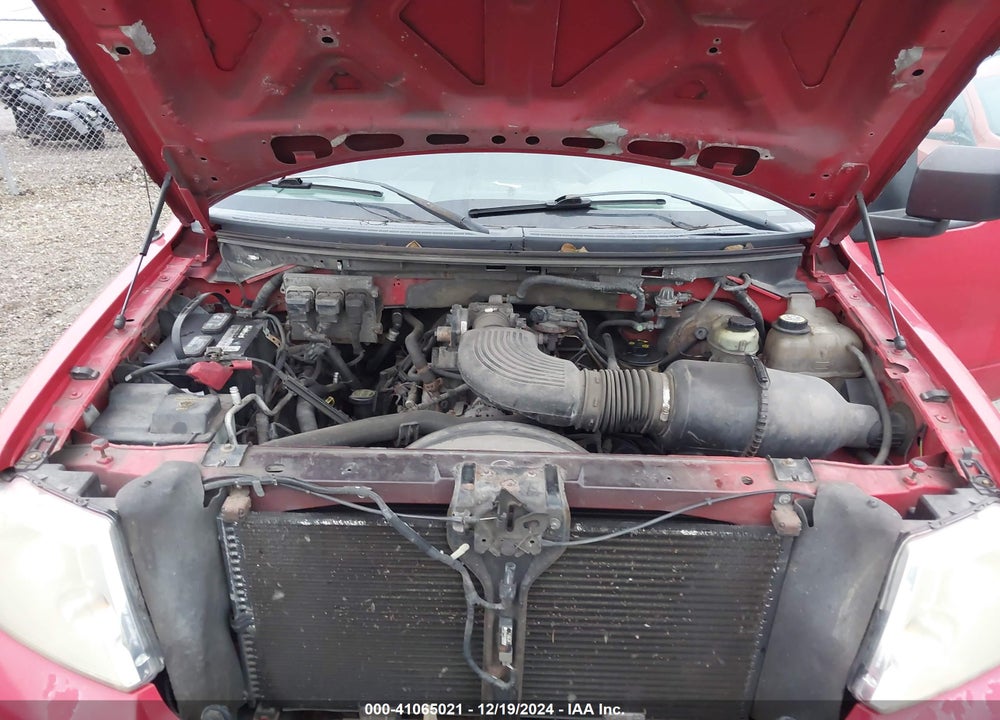 2004 FORD F-150 STX/XL/XLT VIN: 1FTRF12W74NA77809
