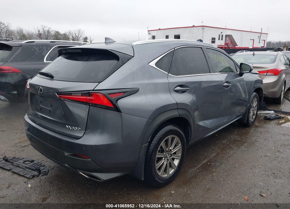 2019 LEXUS NX 300 VIN: JTJBARBZ7K2203560