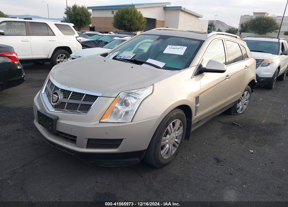 2011 CADILLAC SRX LUXURY COLLECTION VIN: 3GYFNAEY0BS553219
