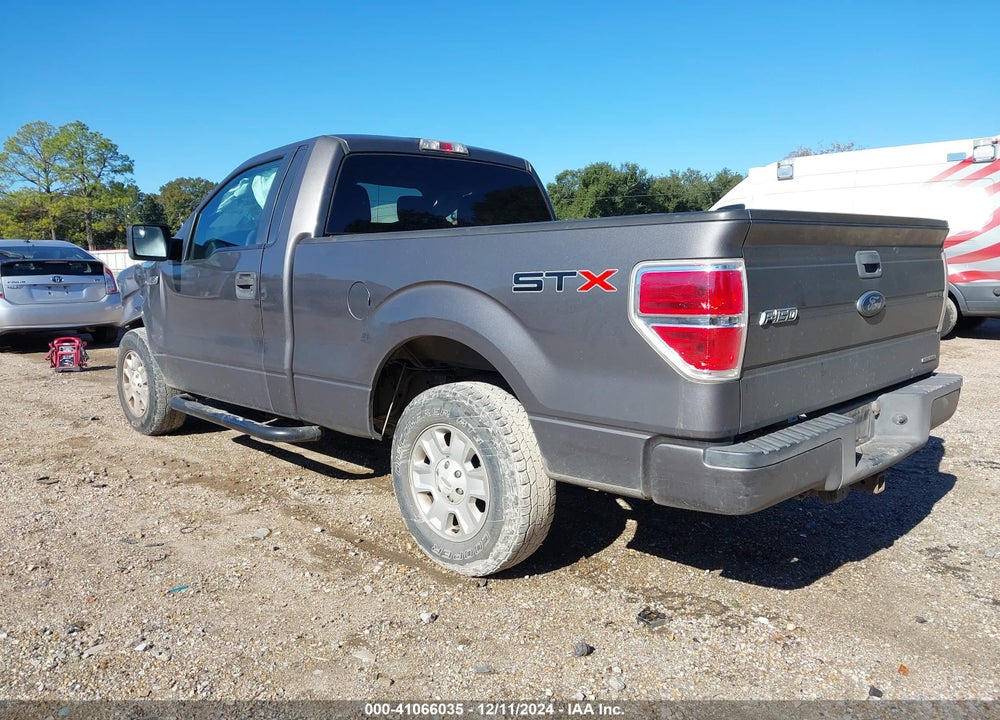 2013 FORD F150 VIN: 1FTMF1CM0DKD03052