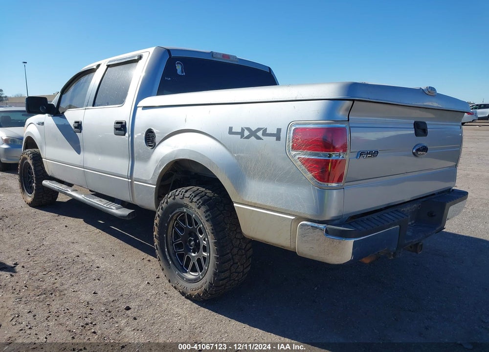 2010 FORD F-150 XL/XLT VIN: 1FTEW1E87AFB09952