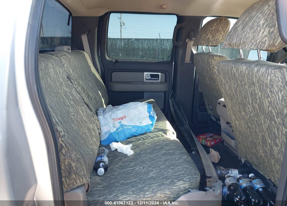 2010 FORD F-150 XL/XLT VIN: 1FTEW1E87AFB09952