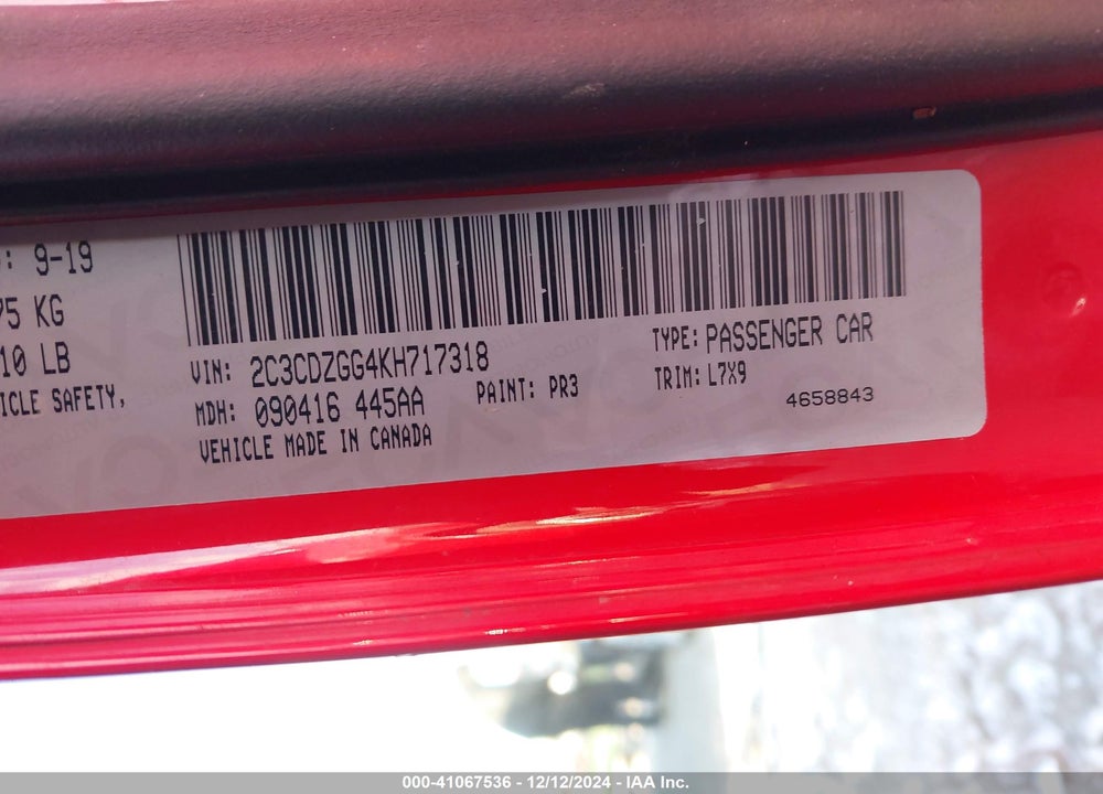 2019 DODGE CHALLENGER VIN: 2C3CDZGG4KH717318