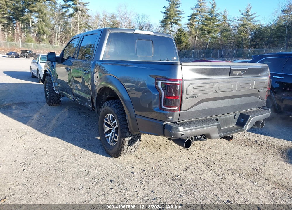 2017 FORD F-150 RAPTOR VIN: 1FTFW1RGXHFB64413