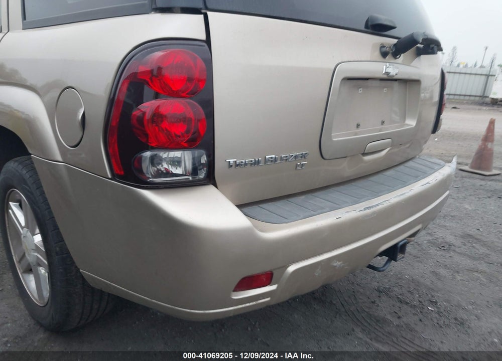 2007 CHEVROLET TRAILBLAZER LT VIN: 1GNDS13S272219045