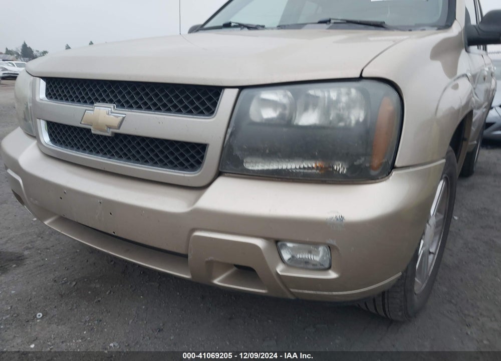 2007 CHEVROLET TRAILBLAZER LT VIN: 1GNDS13S272219045
