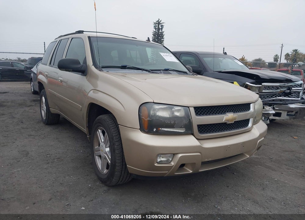 2007 CHEVROLET TRAILBLAZER LT VIN: 1GNDS13S272219045