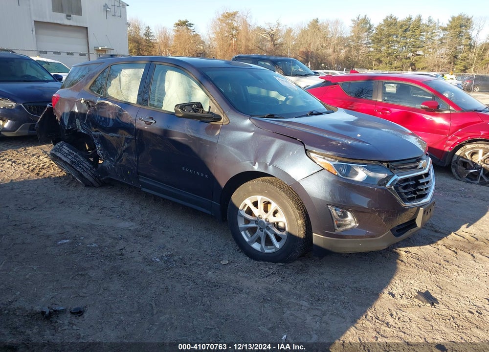 2019 CHEVROLET EQUINOX LS VIN: 3GNAXHEV0KL307300