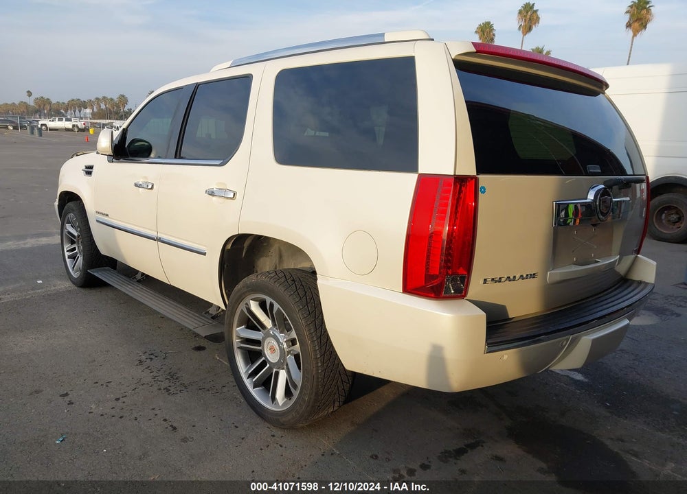 2009 CADILLAC ESCALADE STANDARD VIN: 1GYFC23229R273227