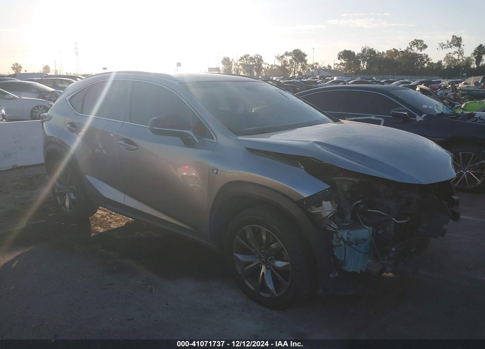 2019 LEXUS NX 300 F-SPORT VIN: JTJYARBZ8K2138230