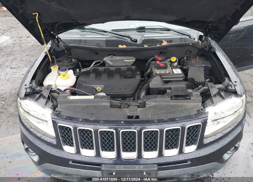2011 JEEP COMPASS VIN: 1J4NF1FB2BD163919