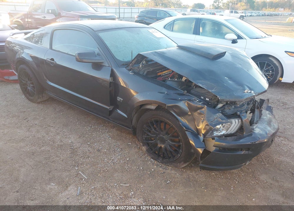 2007 FORD MUSTANG GT DELUXE/GT PREMIUM VIN: 1ZVHT82H075232619