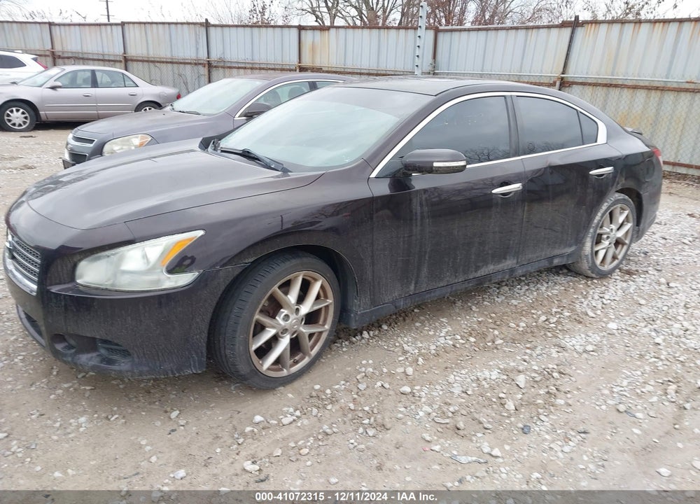 2010 NISSAN MAXIMA 3.5 SV VIN: 1N4AA5AP5AC858600